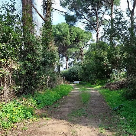Forest & Sea Escape Hébergement de vacances Vourvourou